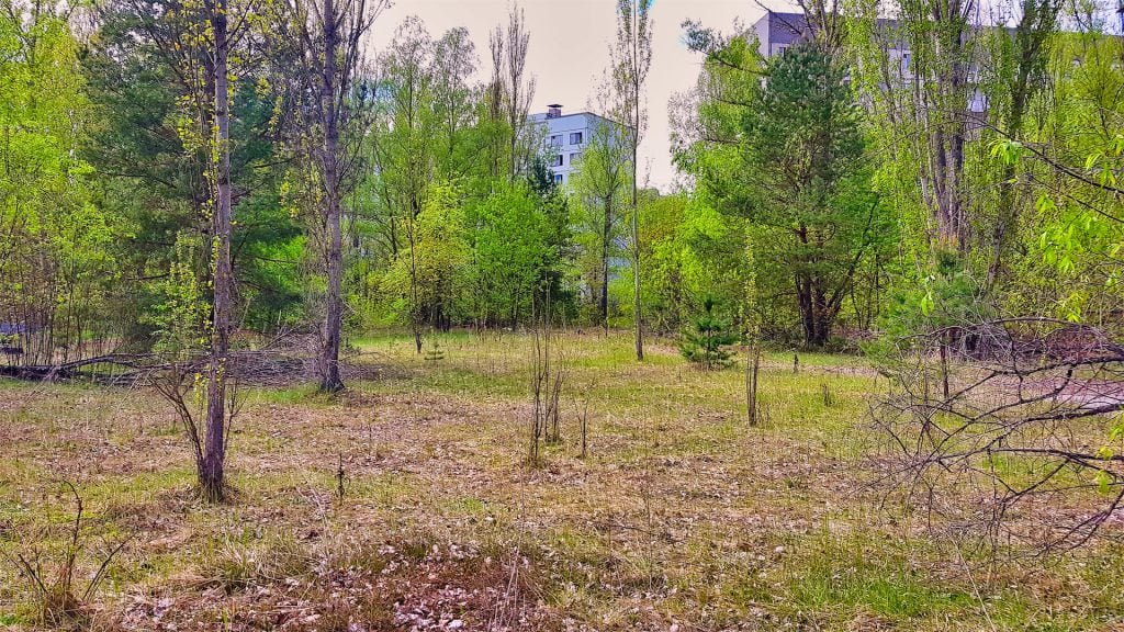 chernobyl pripyat outside apartments trees image
