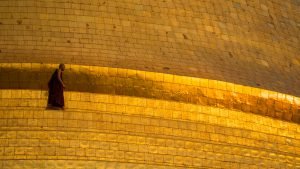 monk golden pagoda yangon myanmar