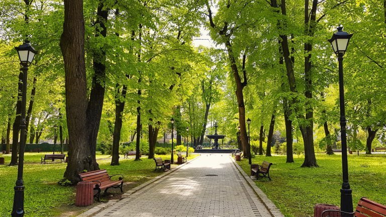 mariinskiy park kiev fountain image