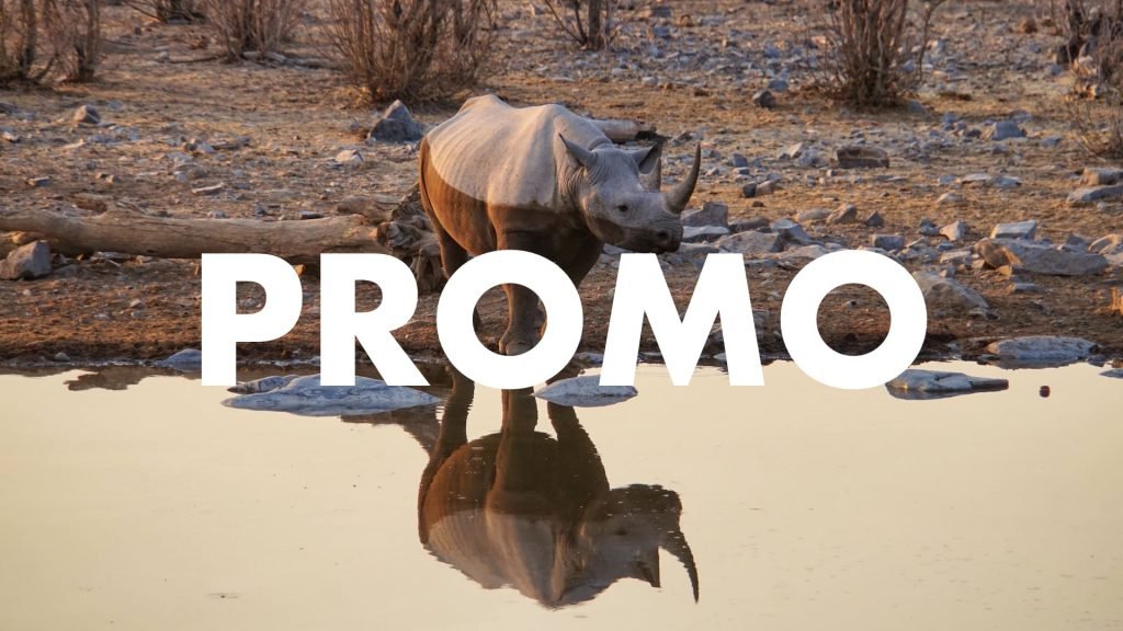 Promo