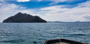 Sangat Island Dive Resort Transfer the other side of Sangat Island