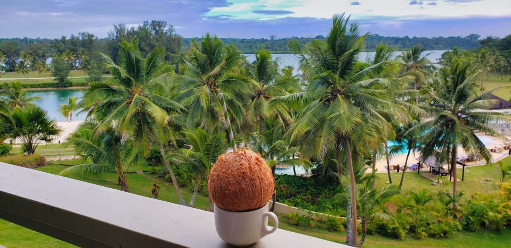 holiday inn resort vanuatu standard room resort pool view coconut drink