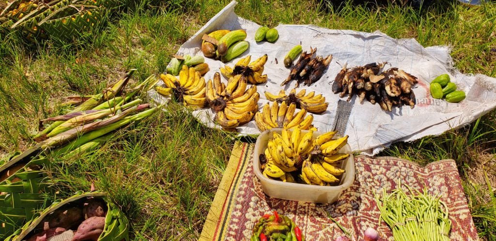 tanna island market bananas