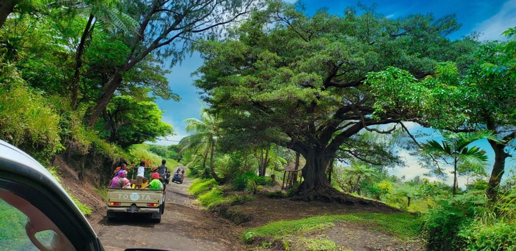 tanna vanuatu yasur road transfer car